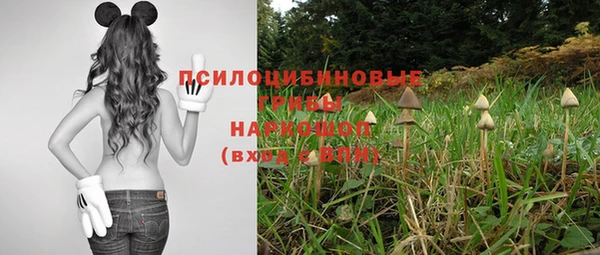 хмурый Абинск