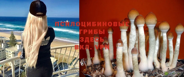 кокс Абдулино