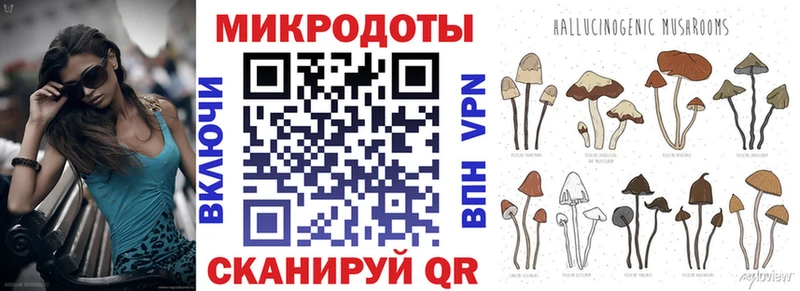 Псилоцибиновые грибы мицелий где купить Вышний Волочёк